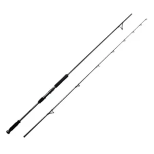 2 piece 100% carbon surf fishing rod full view white background