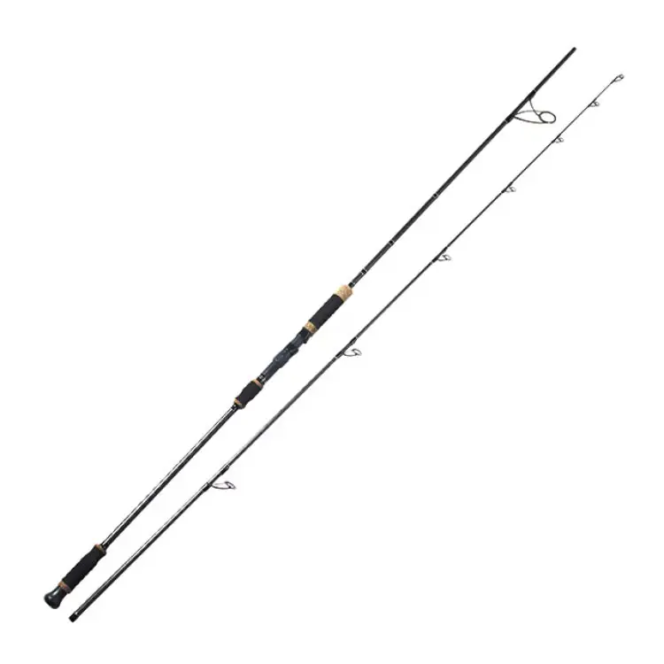 2 piece 100% 24T carbon surf fishing rod full view white background