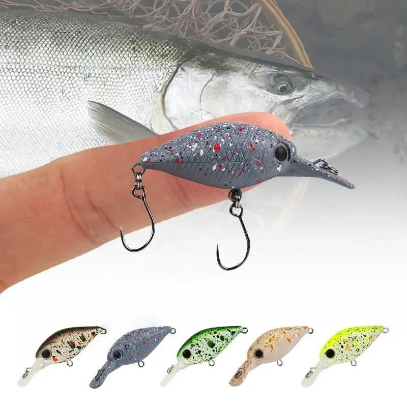 Hand holding small gobies crankbait hard lure with 5 mixed colors for freshwater fishing